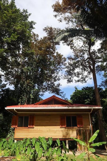 Jungle Beach 2 Bedroom Cottage Bocas del Toro Exterior foto