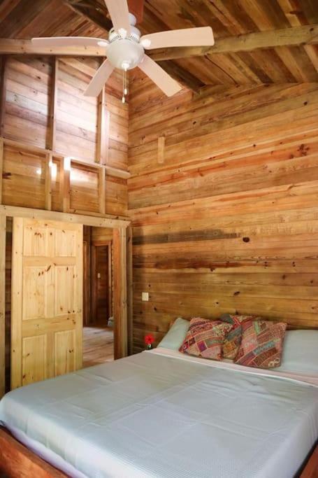 Jungle Beach 2 Bedroom Cottage Bocas del Toro Exterior foto