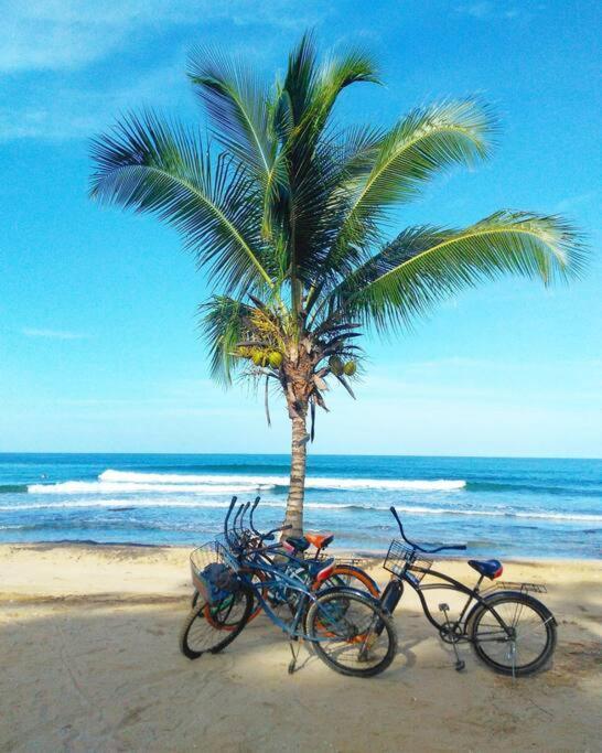 Jungle Beach 2 Bedroom Cottage Bocas del Toro Exterior foto