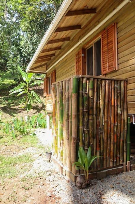 Jungle Beach 2 Bedroom Cottage Bocas del Toro Exterior foto